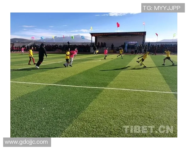 雪域足球星逐梦高原草场书写绿色传奇点燃青年奋进激情